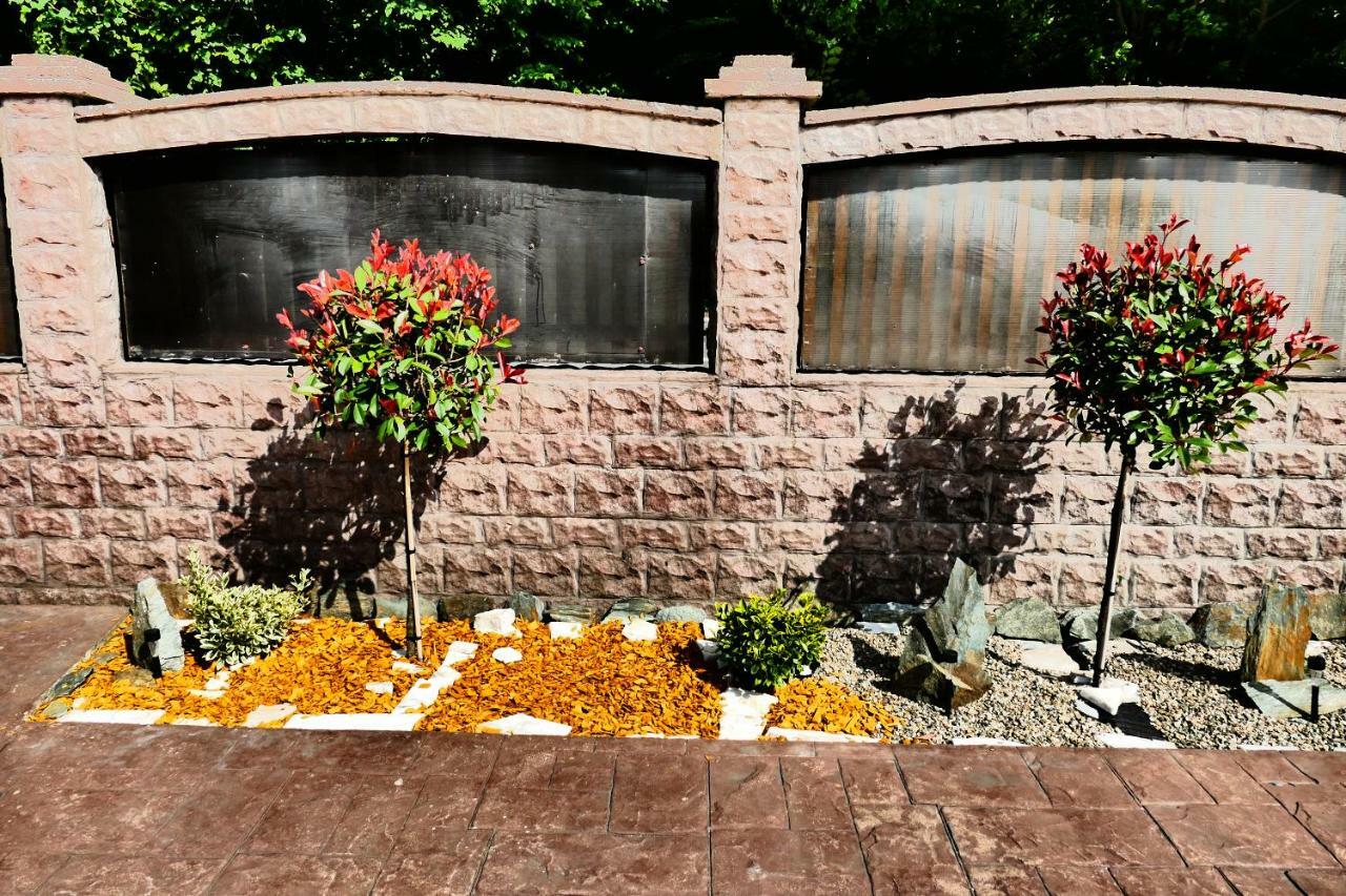 فندق Pensiunea Roua Florilor آنينا المظهر الخارجي الصورة